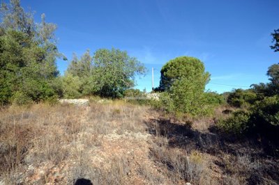 2425-360885-1254606e3c95c5e5ce938638595c7f664