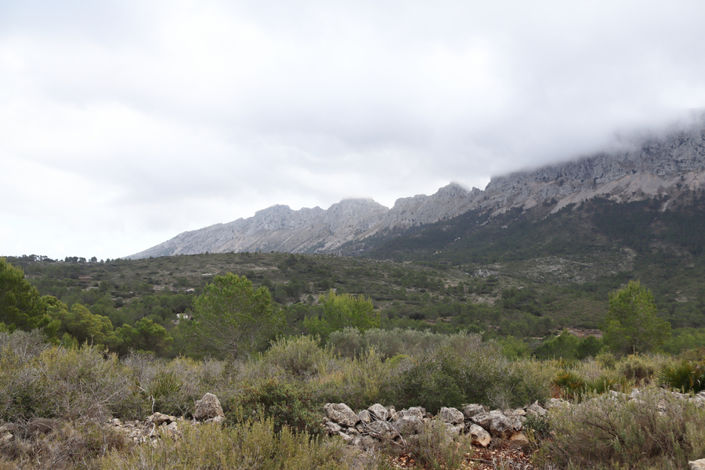 Image No.13-Plot for sale