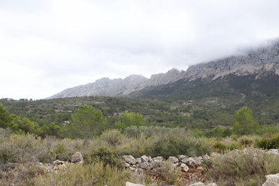 5824-plot-land-for-sale-in-jalon-58382-large