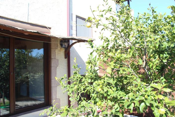 Image No.19-Terre de 5 chambres à vendre à Sellia