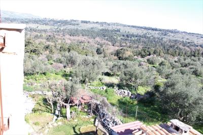 Crete-Apokoronas-House-For-Sale0036