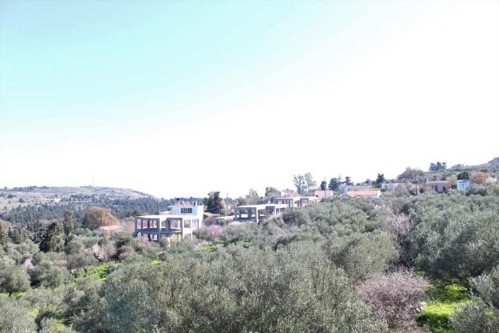 Image No.42-Terre de 5 chambres à vendre à Sellia