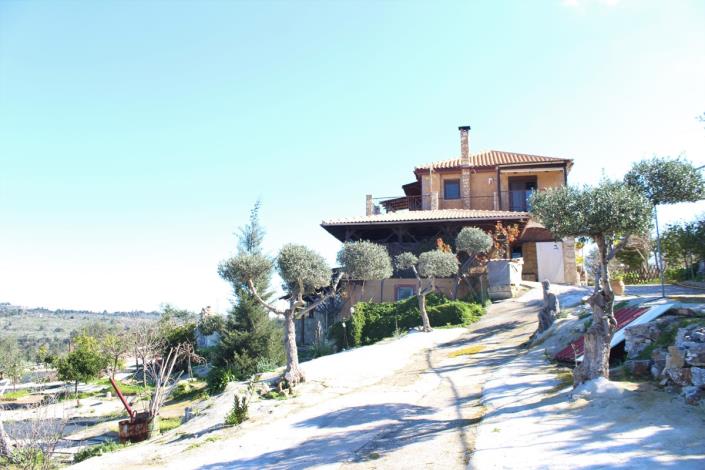 Image No.51-Terre de 5 chambres à vendre à Sellia