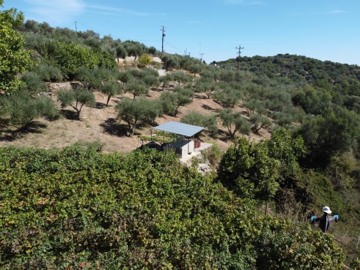 Image No.41-Maison / Villa de 2 chambres à vendre à Apokoronas