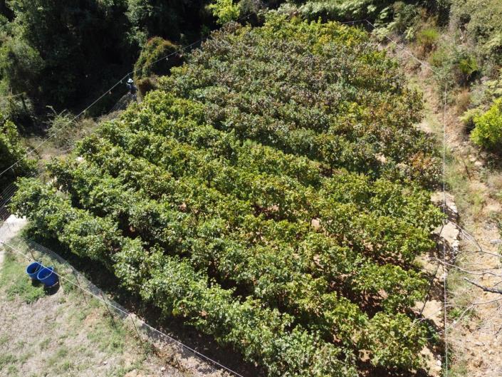 Image No.42-Maison / Villa de 2 chambres à vendre à Apokoronas