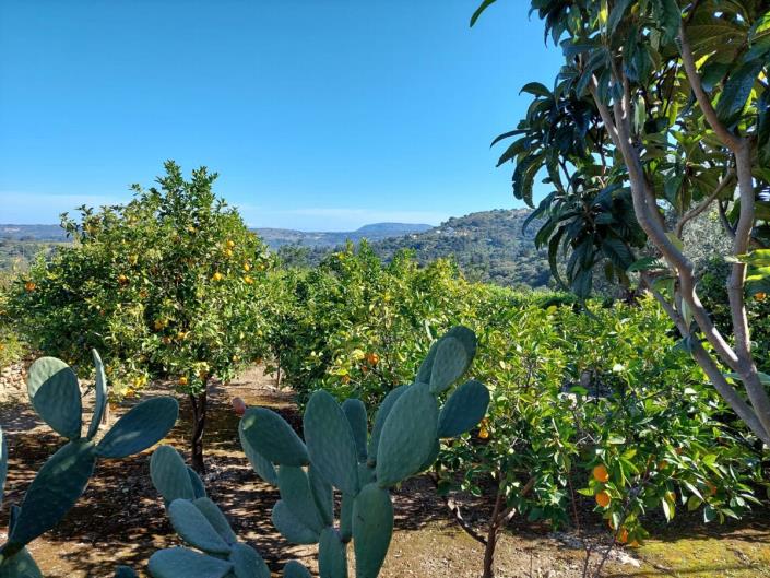 Image No.46-4 Bed Villa for sale