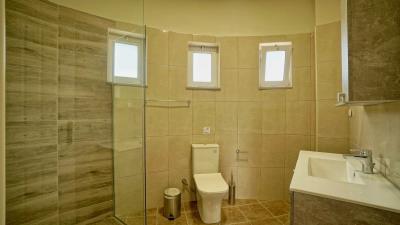 Houses-for-sale-in-Pyrgos-Psilonerou-10