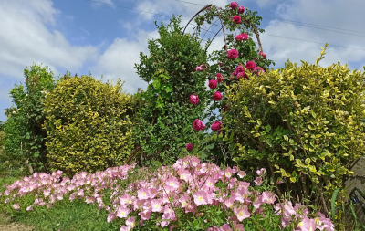 tinywow_288364410_1600x1200_59102267