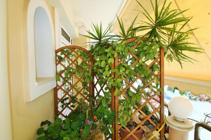 Image No.38-Appartement de 7 chambres à vendre à Perivolia