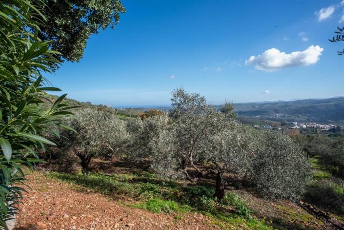 Image No.53-Villa de 3 chambres à vendre à Gavalohori