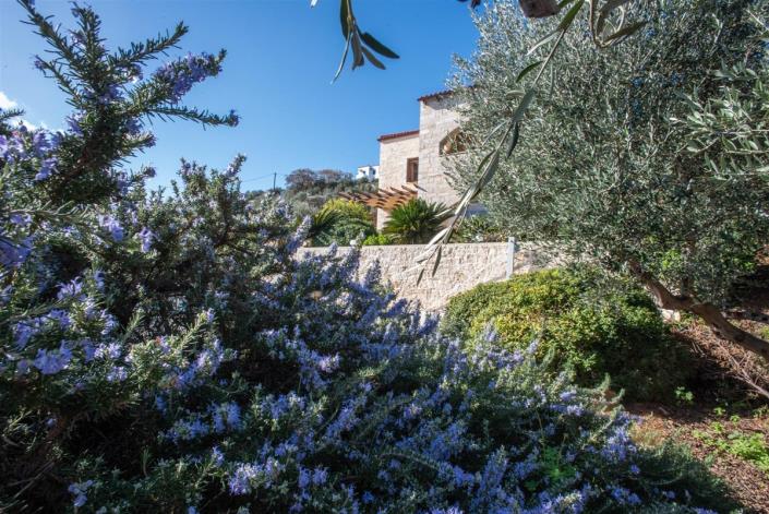 Image No.54-Villa de 3 chambres à vendre à Gavalohori