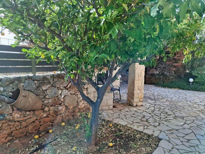 Image No.31-Maison / Villa de 2 chambres à vendre à Drapanos