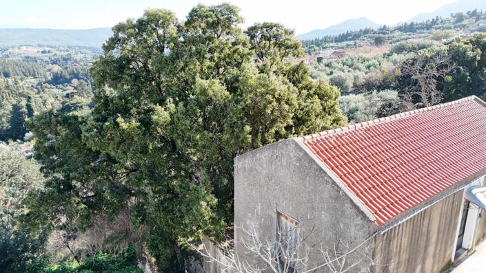 Image No.8-Villa de 2 chambres à vendre à Tzitzifes