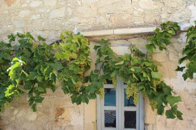 Greece-Crete-Apokoronas-Almyrida-Hotel-For-Sale0001