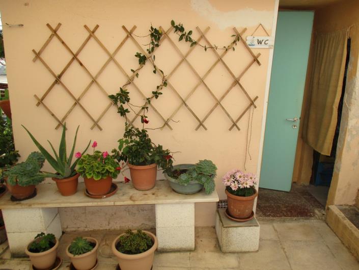 Image No.16-3 Bed House for sale