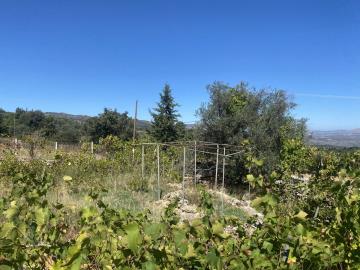 GREECE-HOUSE-FOR-SALE-IN-MELIDONI-image00006