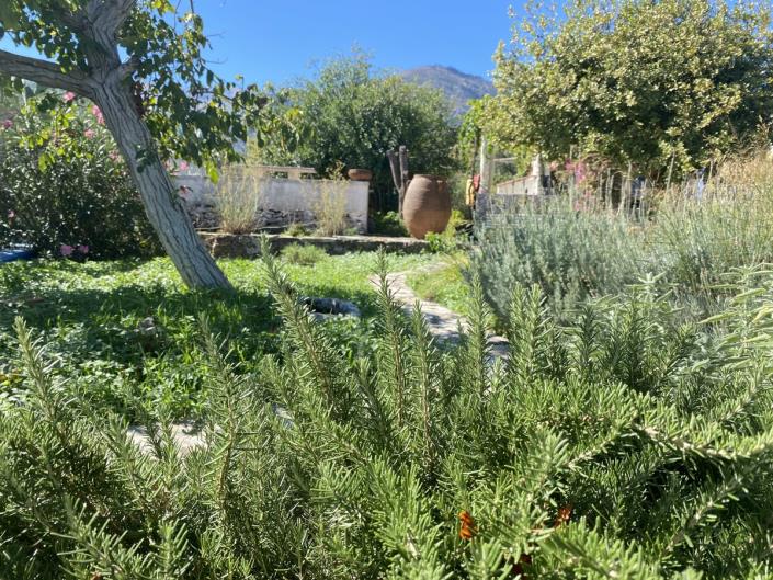 Image No.9-Maison de 3 chambres à vendre à Melidoni