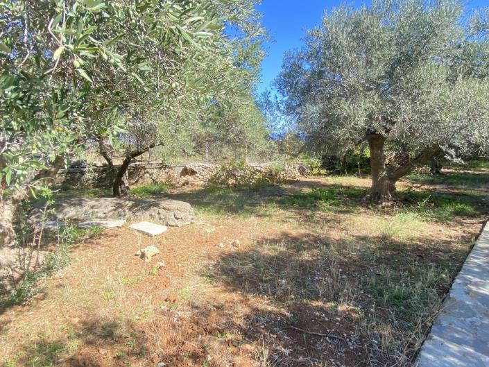 Image No.28-Maison de 3 chambres à vendre à Melidoni