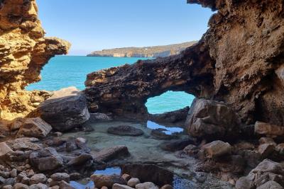 WhatsApp-Image-2022-02-05-at-18-31-48