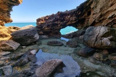 WhatsApp-Image-2022-02-05-at-18-31-48-1