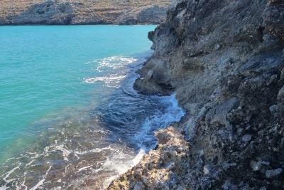 WhatsApp-Image-2022-02-05-at-18-31-49