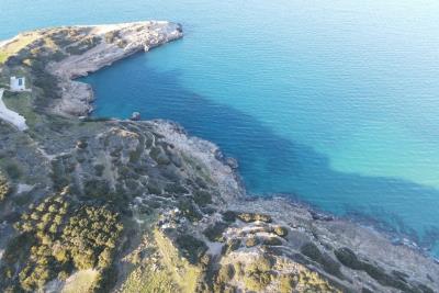 WhatsApp-Image-2022-12-15-at-22-41-39