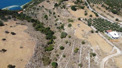 Plot-for-sale-in-Kournas-DJI_0533