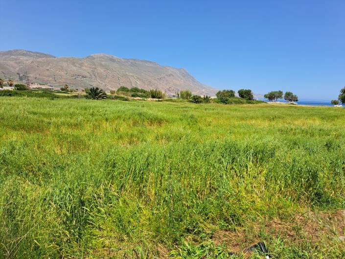 Image No.12-Terre à vendre à Kissamos