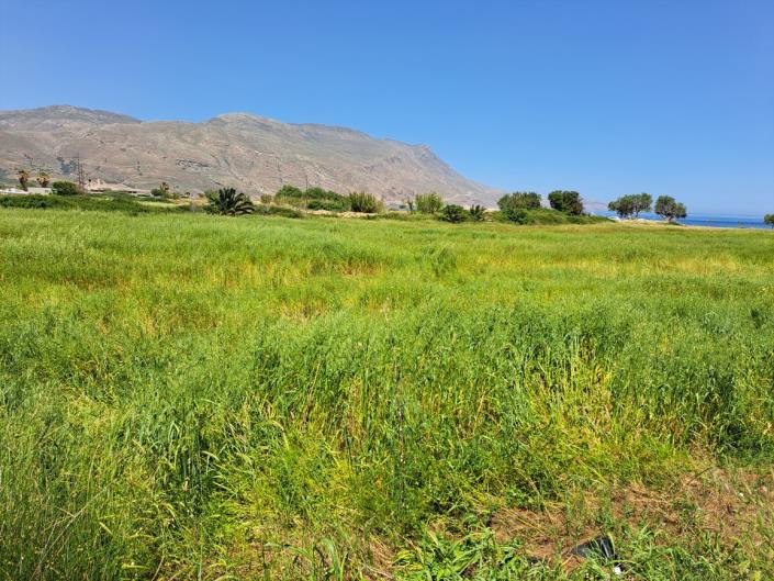 Image No.13-Terre à vendre à Kissamos