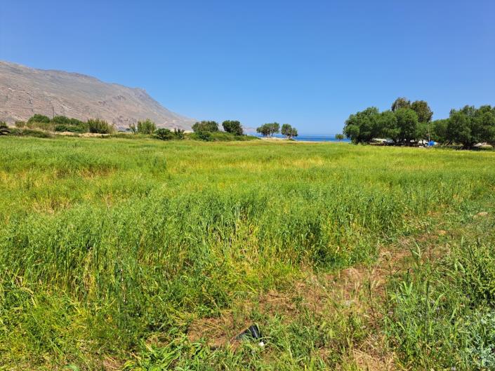 Image No.14-Terre à vendre à Kissamos