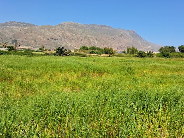 Image No.16-Terre à vendre à Kissamos