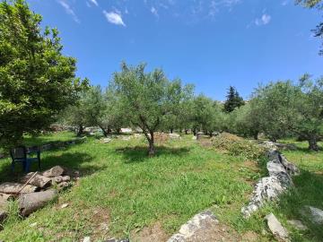 f2aeb504ddca45f5b9b438e05edcd991