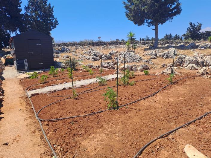 Image No.26-Villa de 4 chambres à vendre à Xirosterni