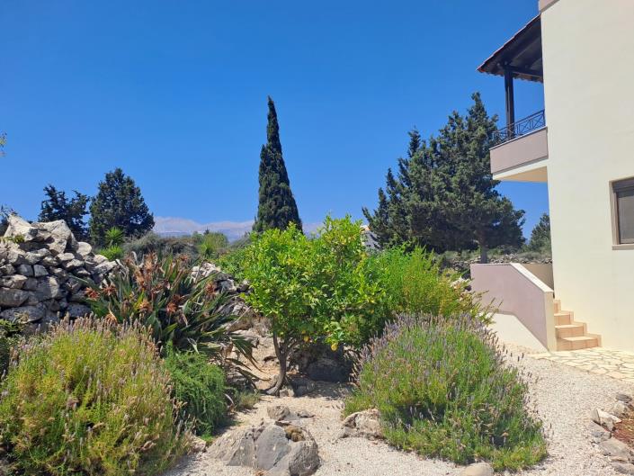 Image No.28-Villa de 4 chambres à vendre à Xirosterni