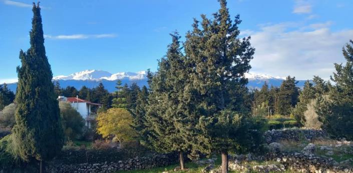 Image No.29-Villa de 4 chambres à vendre à Xirosterni