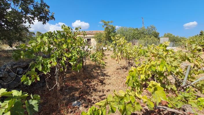 Image No.20-Maison de 2 chambres à vendre à Vamos