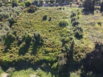 8fe3514d2ba04ca7954a7623a9893476