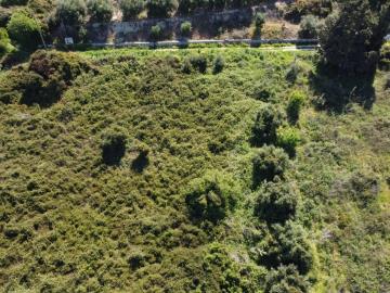 a48e0b24bd1f475281772252ea99f9fe