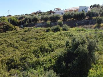 f5242d8b25f74185b7404393efebf7c6