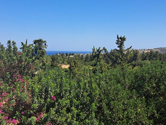 Image No.10-Appartement de 1 chambre à vendre à Douliana