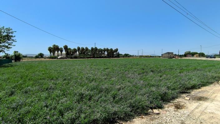 Image No.32-Bungalow de 3 chambres à vendre à Almoradí