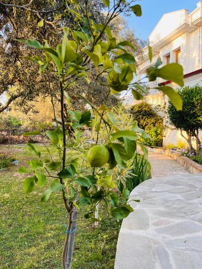 Image No.18-4 Bed Villa for sale