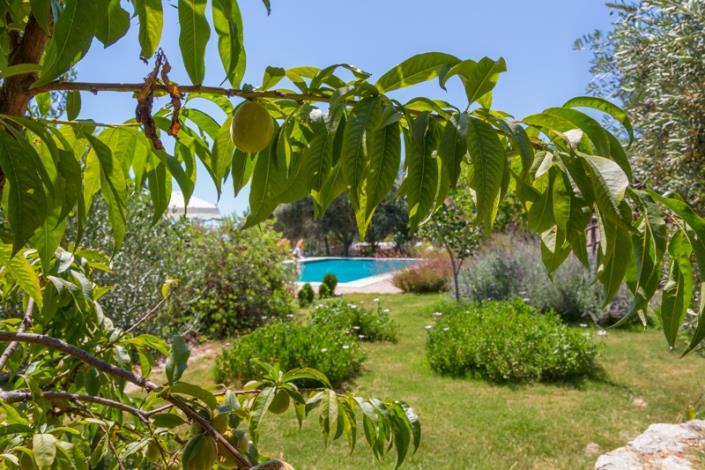 Image No.50-5 Bed Villa for sale