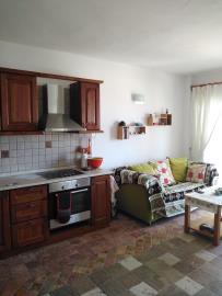 WhatsApp-Image-2024-07-07-at-15-47-46