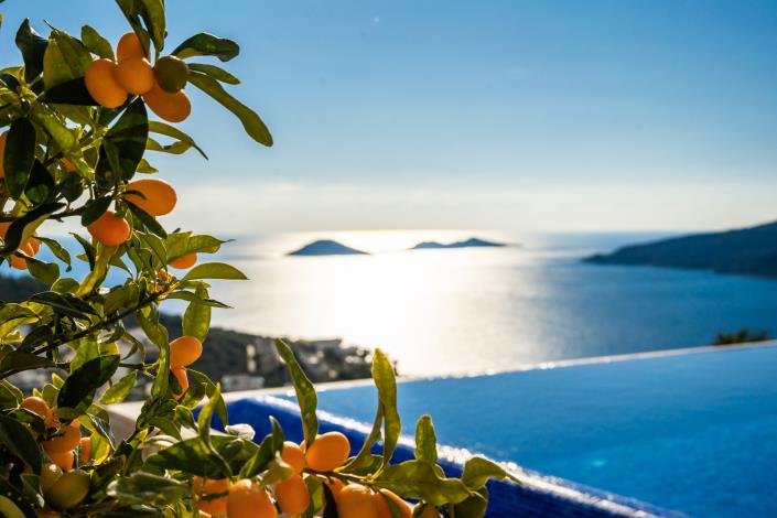 Image No.41-3 Bed Villa for sale