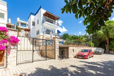 villa_sefa_need_company-2