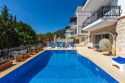 villa_sefa_need_company-7