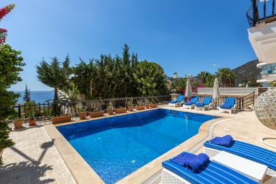 villa_sefa_need_company-8