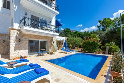 villa_sefa_need_company-14