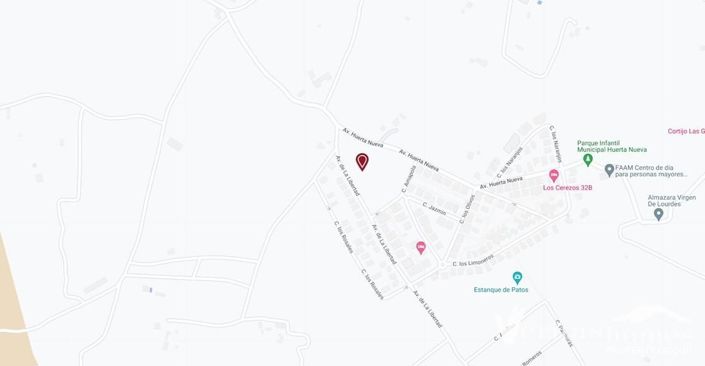 Image No.5-Terre à vendre à Los Gallardos